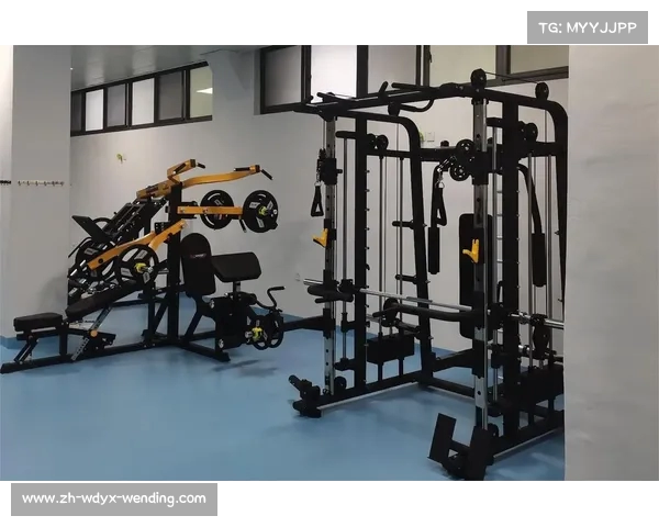 高档健身器材的优势与选择：选择高端设备的好处与购买建议