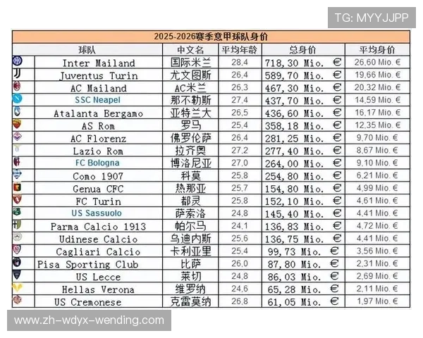 意甲全部球队的综合排名及实力评估