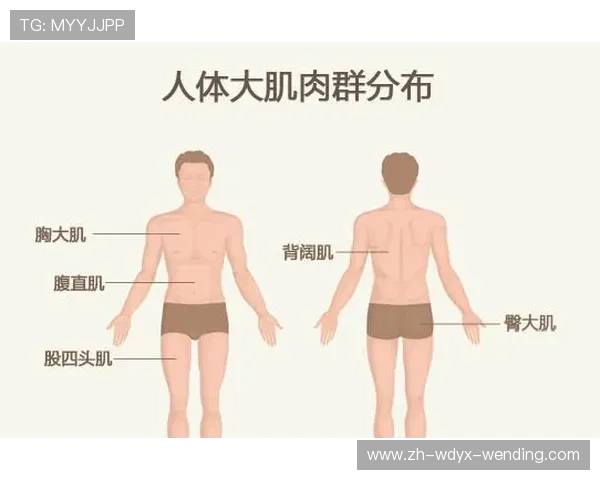腿部肌群专用健身器材介绍及训练指导